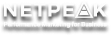 netpeak logo